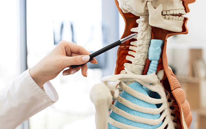 Anterior Cervical Discectomy with Fusion